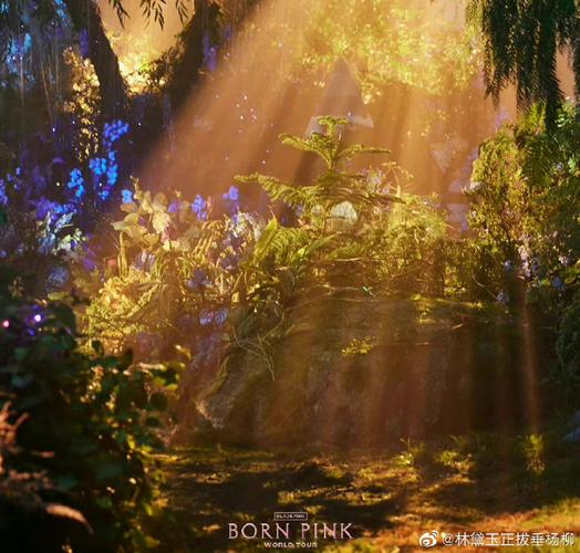 这世上,真的有“两个世界”。+