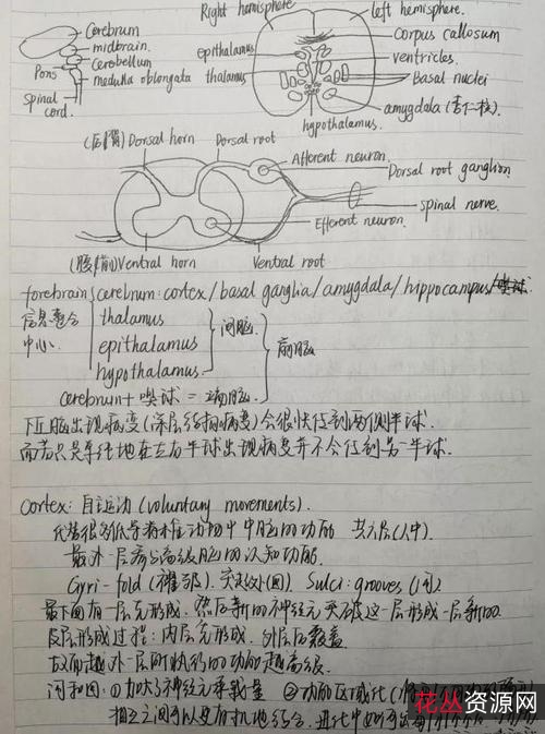 清华大学状元笔记