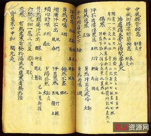 针灸古传宝典！【黄帝虾蟆经】中国最古老的一部针灸奇书！