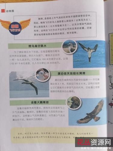 想知道大自然的奥秘吗？经典收藏「+BBC自然探索系列（套装共7册）」让你深度了解神秘大自然！