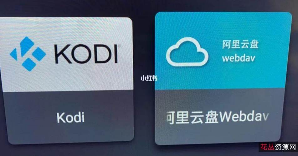 「阿里云盘TV第三方1.0.6.exe.apk」