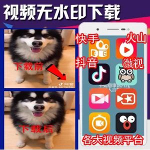 【抖音去广告国际版】横扫全球下载量常居榜首！一览全球150多国家潮流达人原创新作！尽享全球潮流音乐！无视封锁和下载限制，下视频无水印！