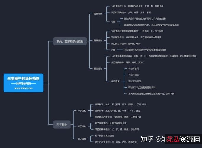 12.17最新【知犀思维导图+】大量经典模板随意复用！所有功能免费，无压力导出！