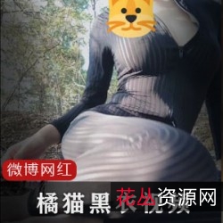 精彩橘猫：黑条纹衣两部的网红室外自娱自乐