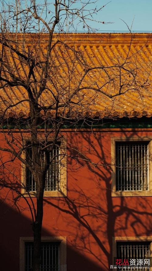 获取紫禁城资源:官网链接、阿里云盘下载、APP查看