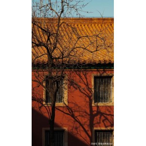 获取紫禁城资源：官网链接、阿里云盘下载、APP查看