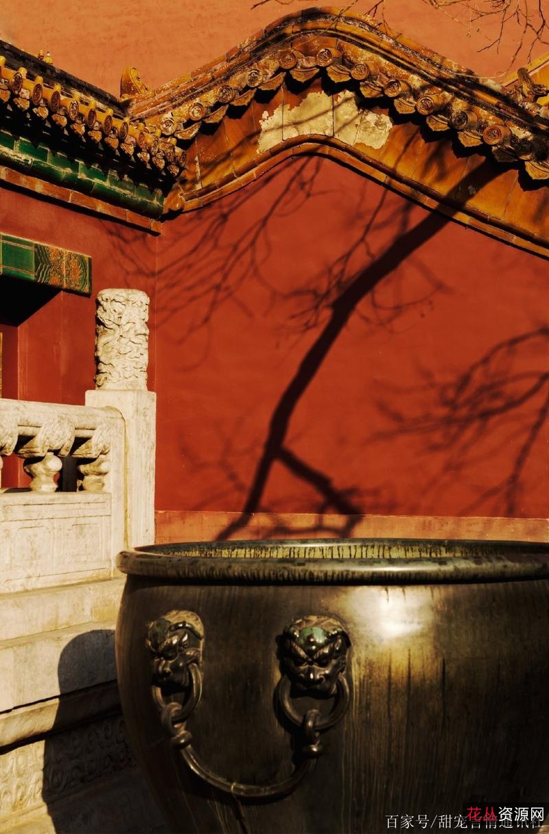 获取紫禁城资源:官网链接、阿里云盘下载、APP查看