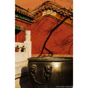 获取紫禁城资源：官网链接、阿里云盘下载、APP查看