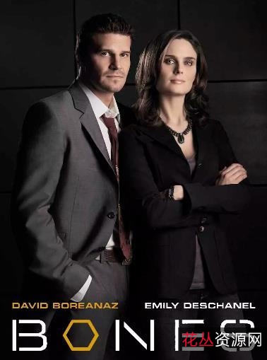 《识骨寻踪》:2005-2017经典美剧,悬疑犯罪与爱情的完美结合