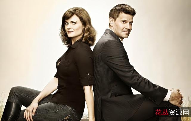 《识骨寻踪》:2005-2017经典美剧,悬疑犯罪与爱情的完美结合