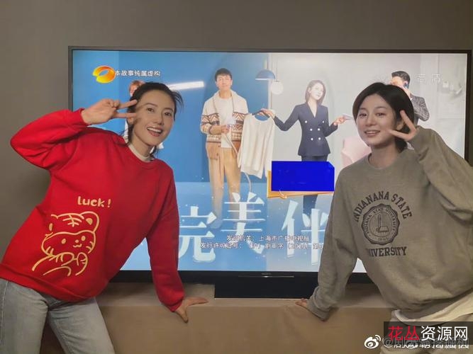 2022完美伴侣1080P国语内嵌中字全集46集更新完毕阿里云盘极速在线查看原画倍速播放