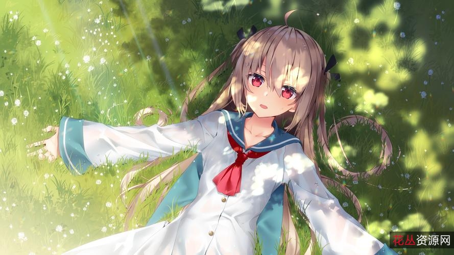 私人动漫合集2160P:丰富动漫资源+高清画质+安全驱动下载