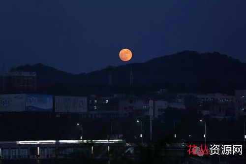 《8K超高清:夜色中的地球》