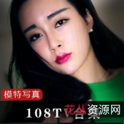 《108TV热舞冲击波:萌琪琪、潘春春等美女热舞,给力四射!》