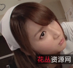 1000P白嫖GIF番号,2.5G百度盘