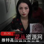 143套35.3G推特高颜值反差婊性感可爱清纯狂野口味重味自嗨玩具野外双人游戏