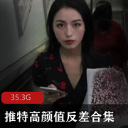 143套35.3G推特高颜值反差婊性感可爱清纯狂野口味重味自嗨玩具野外双人游戏