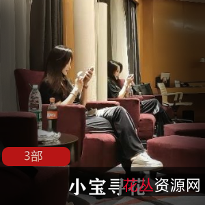 《小宝寻花》:爆笑喜剧,笑破三回合!