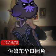 推特CD系列红人伪娘东华田园兔