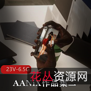 AANiX作品集二23V-6.5G