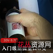 MsFine入门级别微口味重G交洋马小扩张30V-9.7G合集