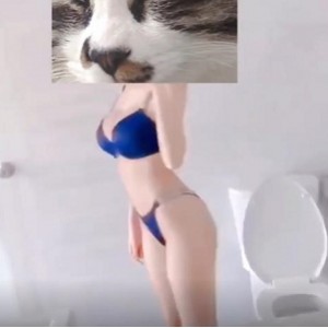 久妖大神：顶级网红女主播长腿黑丝超美小仙女