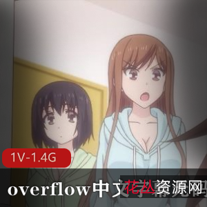 overflow动画片完整版下载观看,无圣光中文字幕青梅竹马