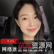 网络泄密高颜值妹子小合集8.2G,女主自拍露脸图集