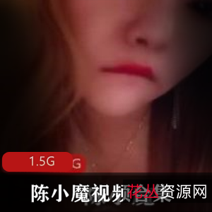 独家陈小魔黑丝美腿视频合集1.5G