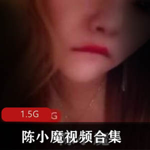 独家陈小魔黑丝美腿视频合集1.5G