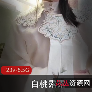 白桃露露超级萌妹子高清视频合集8.5G汉服/黑丝/JK