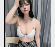 探秘教育视频：美丽樱花背后的故事