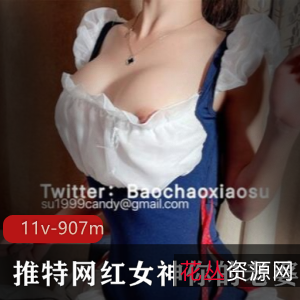 火辣性感浮力姬-你的老婆酥酥稀缺合集,总大小907m