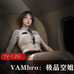 VAMbro：头等舱优质黑丝空姐航空极致服务三D观看