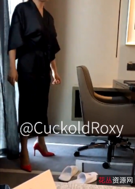 Roxy特别版:奴隶妻子35v1.98g,96个收藏