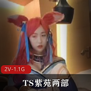 紫苑勇敢故事：TS紫苑两部[2V1.1G]