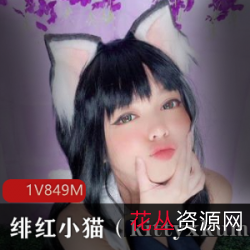 绯红小猫COSER作品集，849M视频资源，超高颜值众生