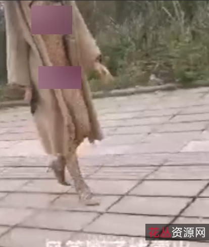 大神风筝表演：断线补线秀，展现专业技艺