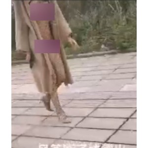 大神风筝表演：断线补线秀，展现专业技艺