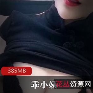 快手女神乖小姨私拍合集12V385M,身材火辣一对一佳作