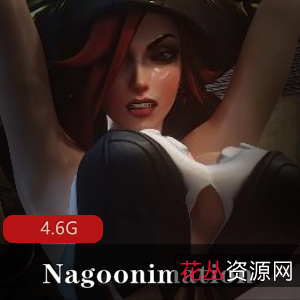 动漫Nagoonimation3D同人合集4.6G画工太赞了