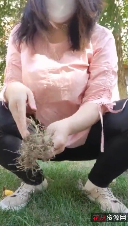 57G柏欣彤热舞合集推特120部太骚了