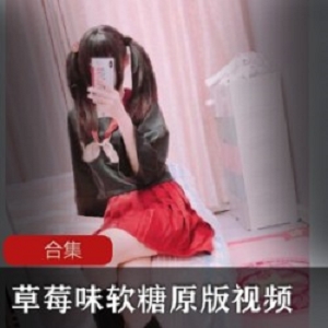 酥麻合集微博草莓味软糖视频88部50G