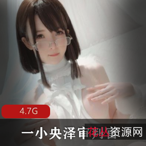 推特点赞破万！一小央泽圣诞五号房视频合集4.7G这曲线绝了